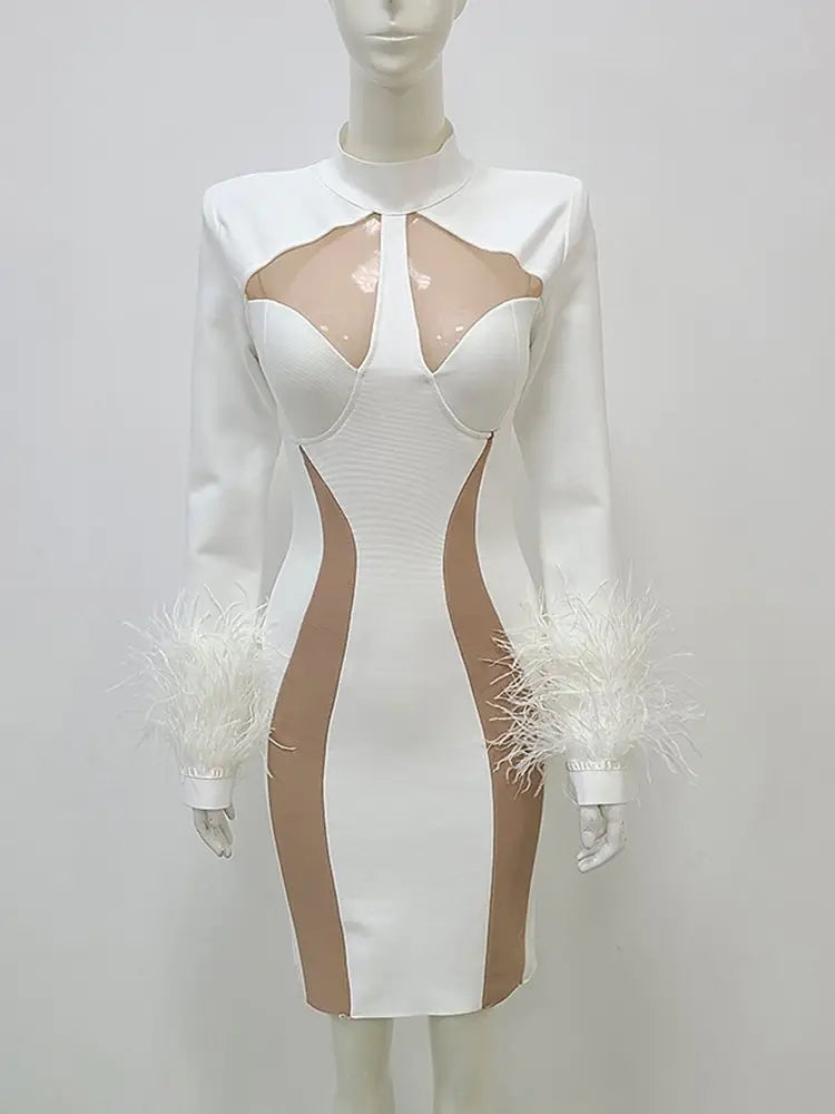 Round Neck Long Sleeve Feather Mesh Panel Mini Bandage Dress Elegant Evening Club Party Dress