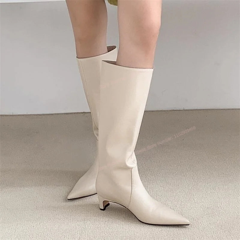 Pointed Toe Knee High Boots