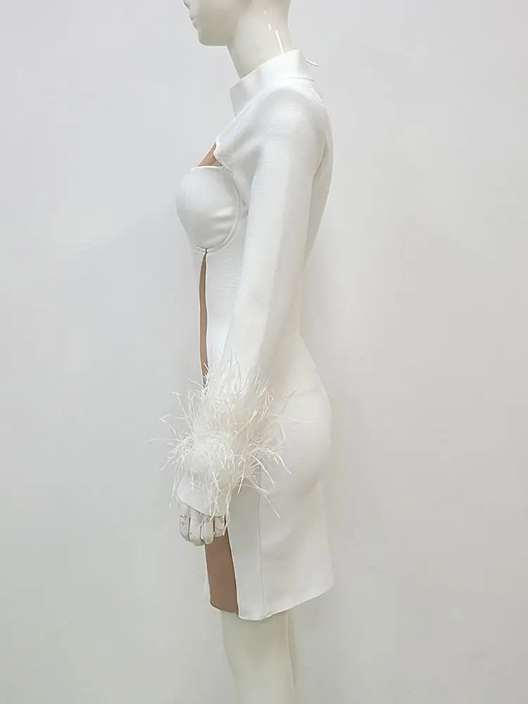 Round Neck Long Sleeve Feather Mesh Panel Mini Bandage Dress Elegant Evening Club Party Dress