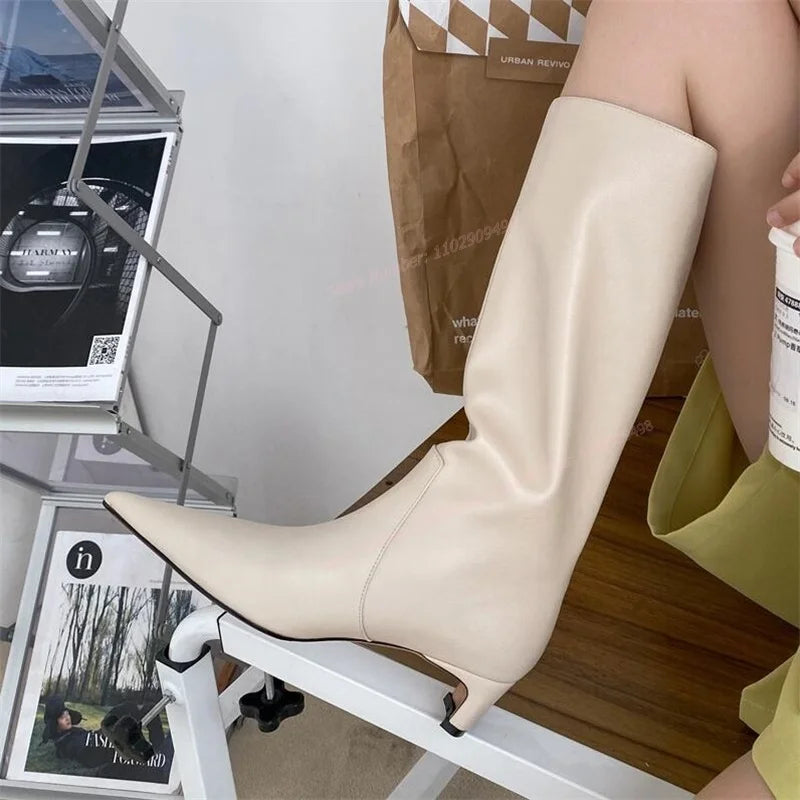 Pointed Toe Knee High Boots